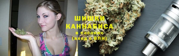соль ск Алзамай