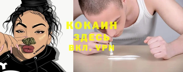 соль ск Алзамай