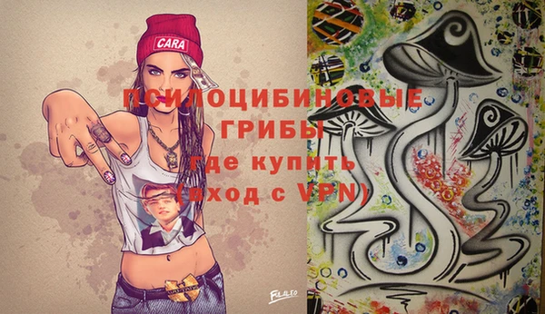 стаф Саяногорск